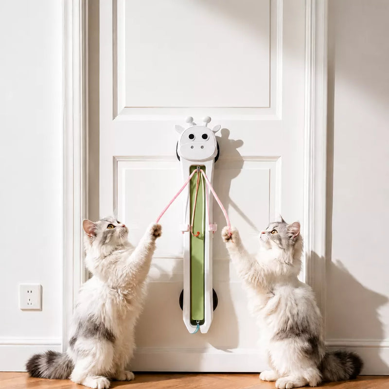 Cat Toys collection banner