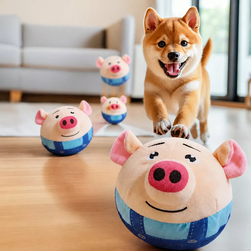 Dog Toys collection banner
