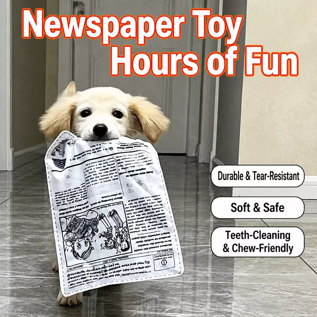 Squeaky Crinkle Dog Toy – Newspaper-Inspired Interactive Toy
