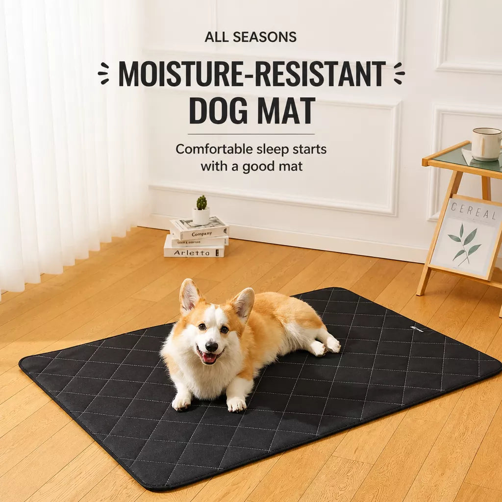 Foam Dog Crate & Floor Mat