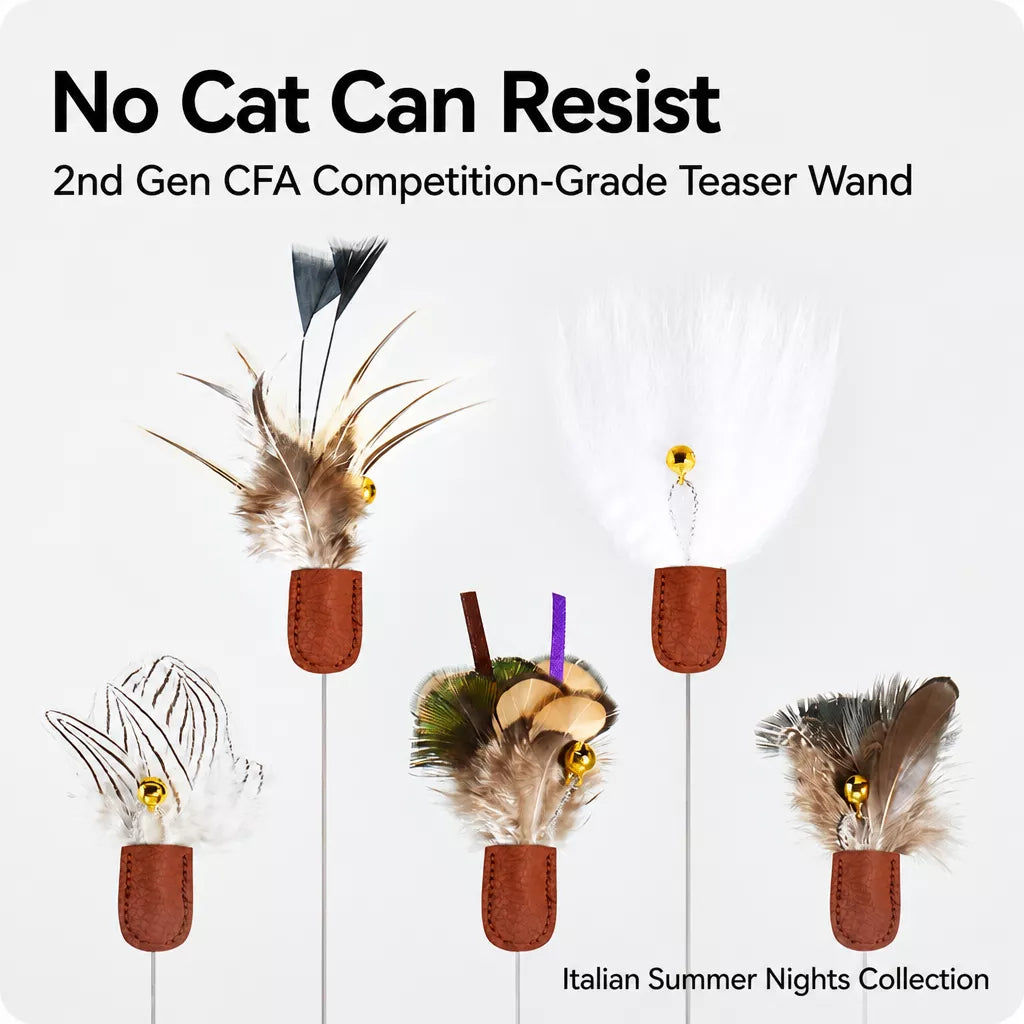 Retractable Cat Teaser Wand with Interchangeable Feather & Plush Heads