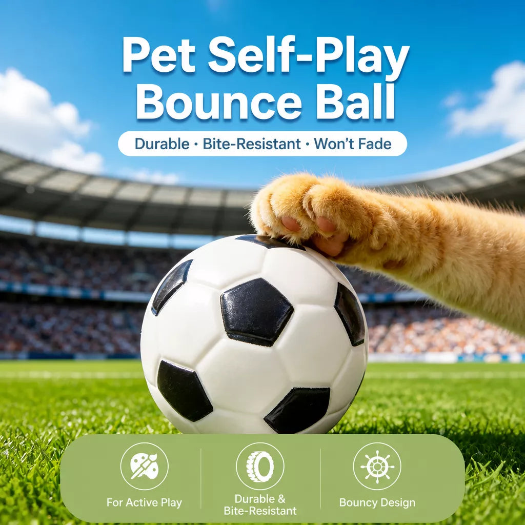 Cat Sports Ball Toys with Teaser Wand