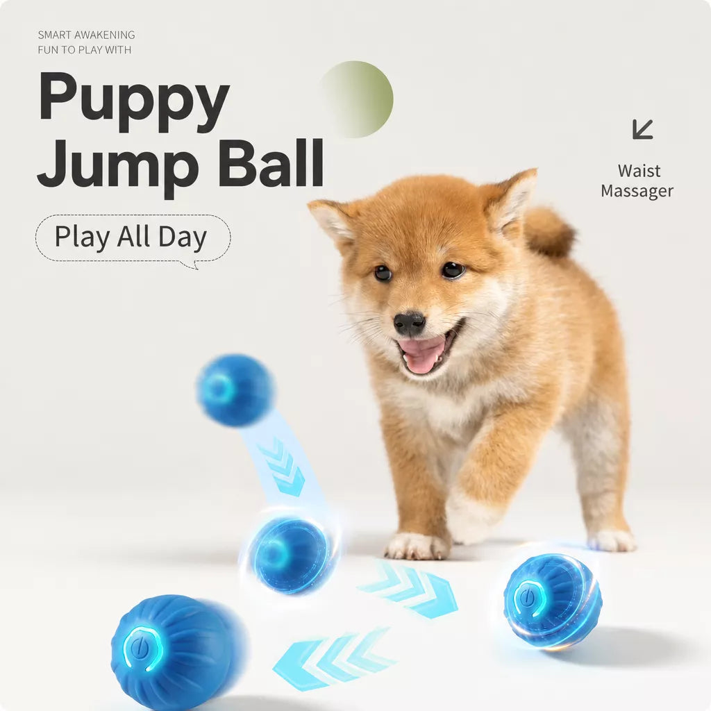 Interactive Electric Squeaky Bouncing Ball Toy for Dogs