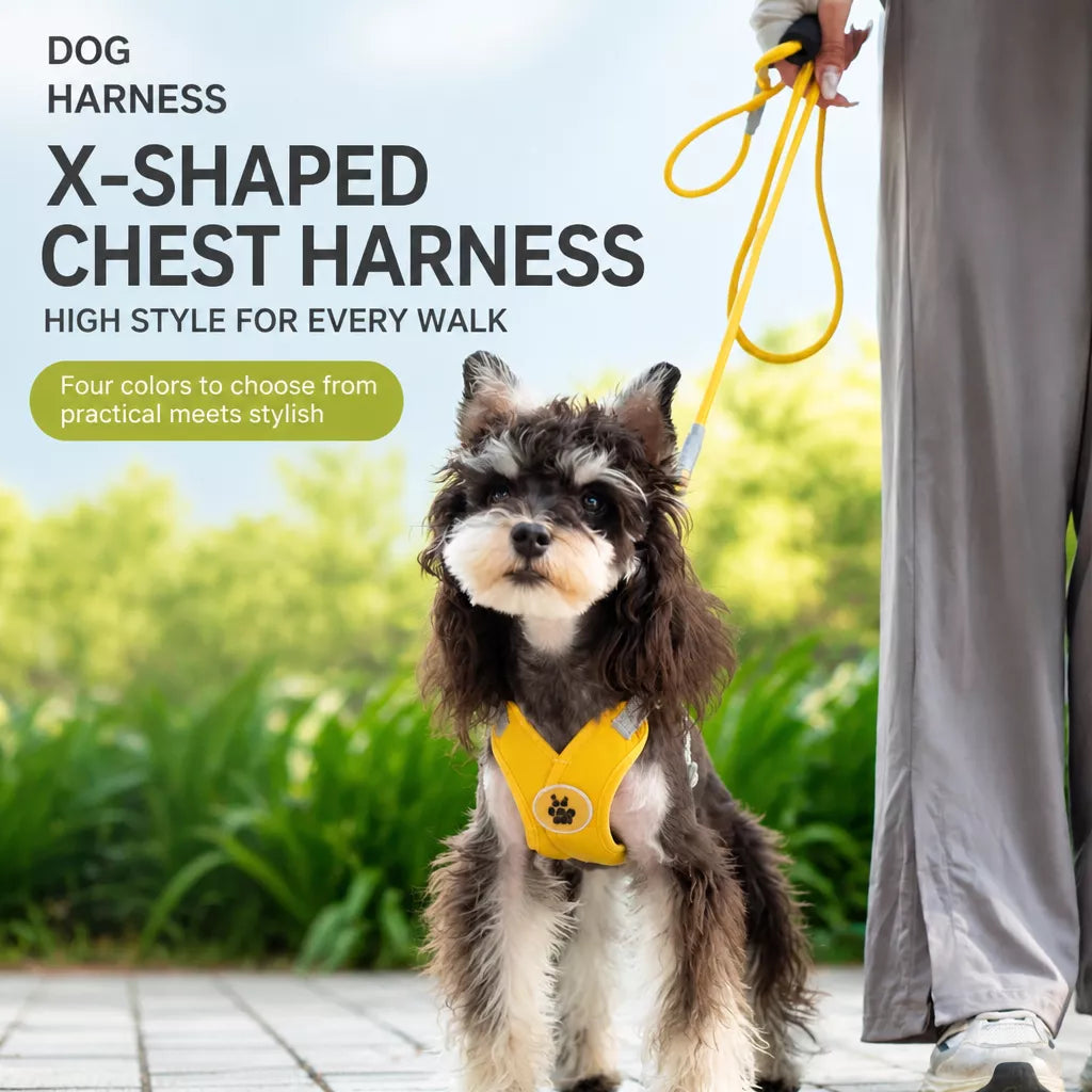 X-Style Pet Harness and Leash