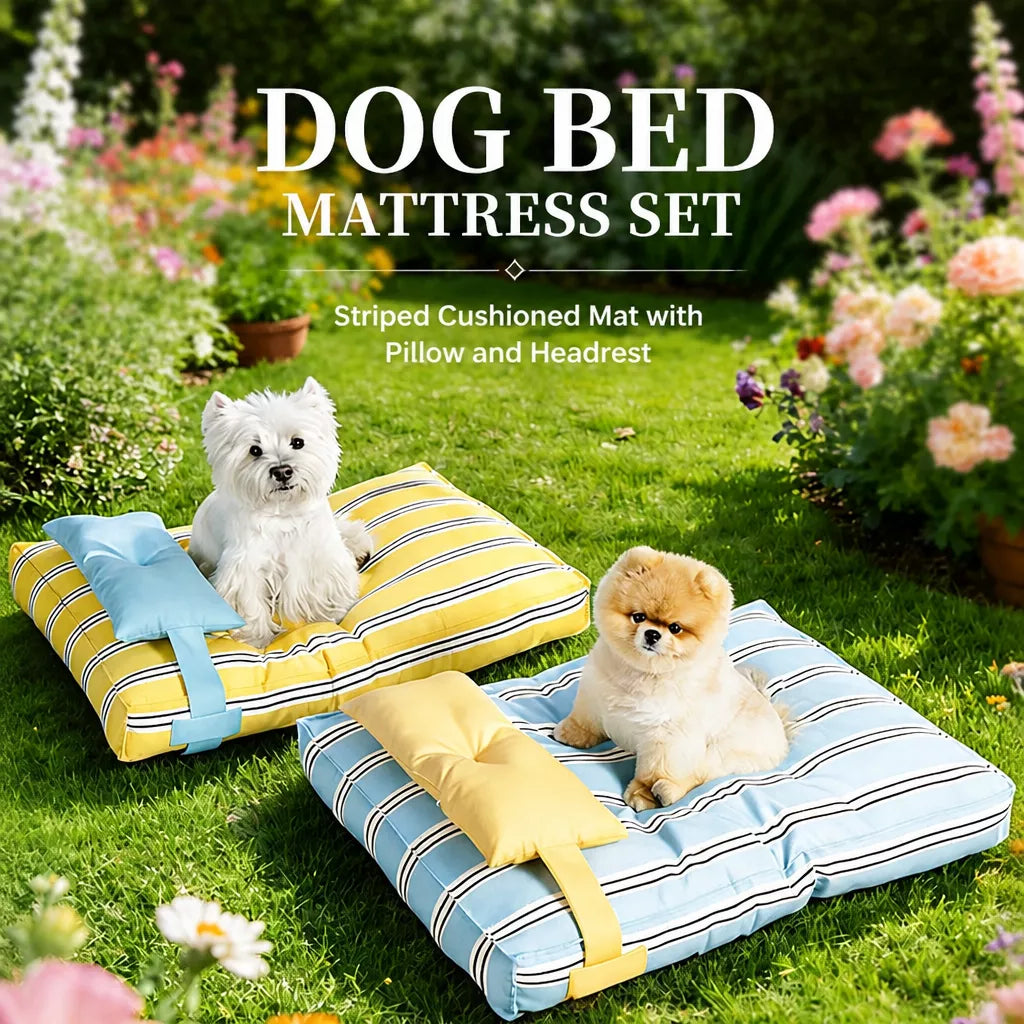 Removable Washable Pet Bed for Cats and Small to Medium Dogs
