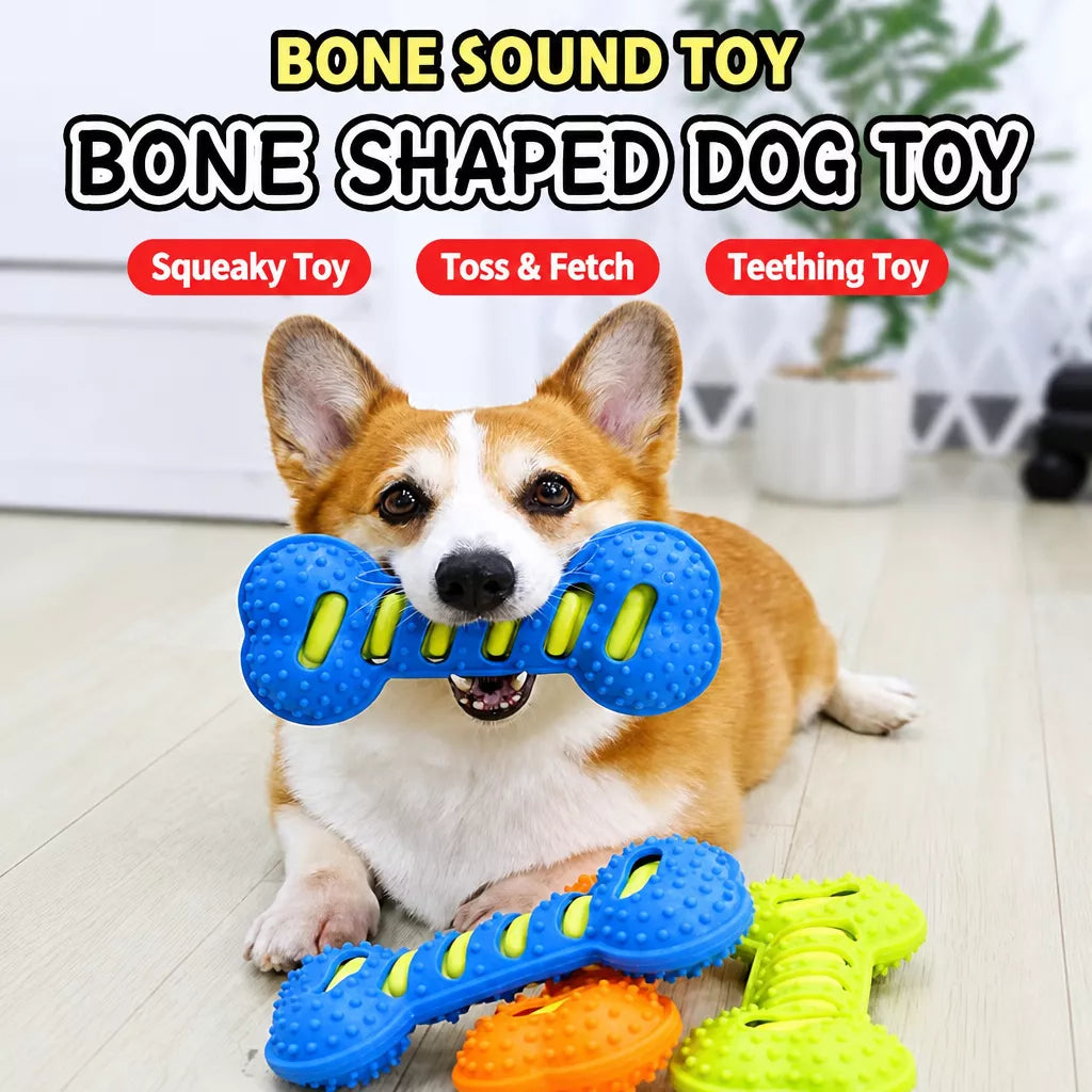 Double-Layer Squeaky Bone Toy for Large Dogs