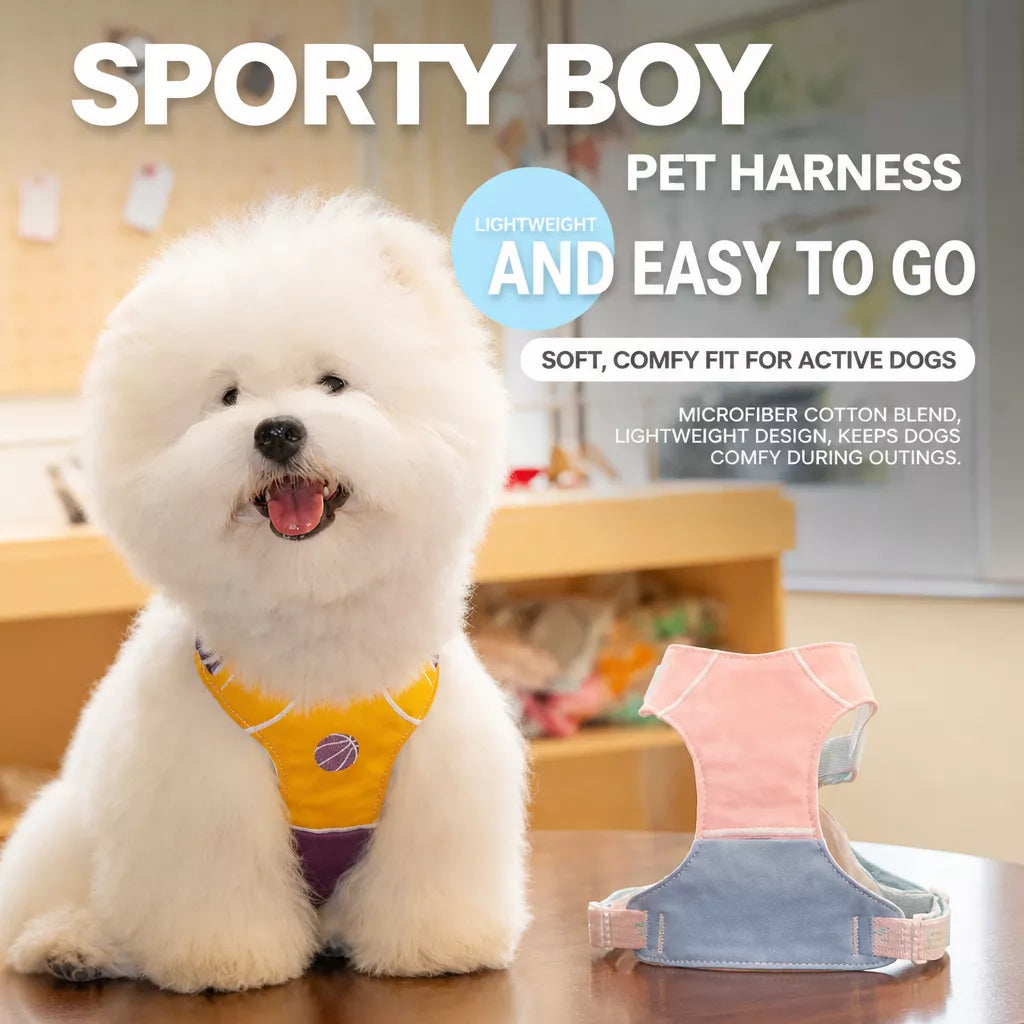 Vest-Style Dog Harness with Leash for Small to Medium Dogs