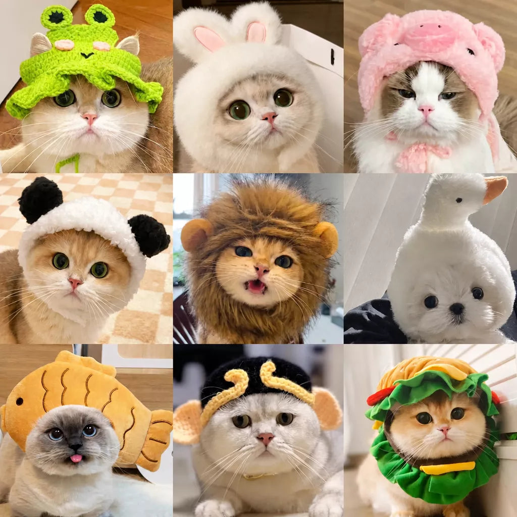 Pet Costume Hats for Dogs and Cats