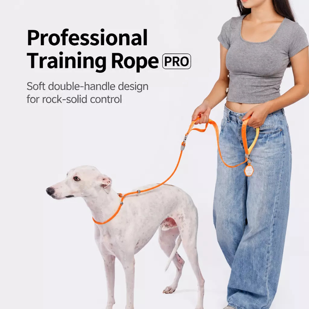 Integrated Slip Lead Dog Leash with Close-Control Handle