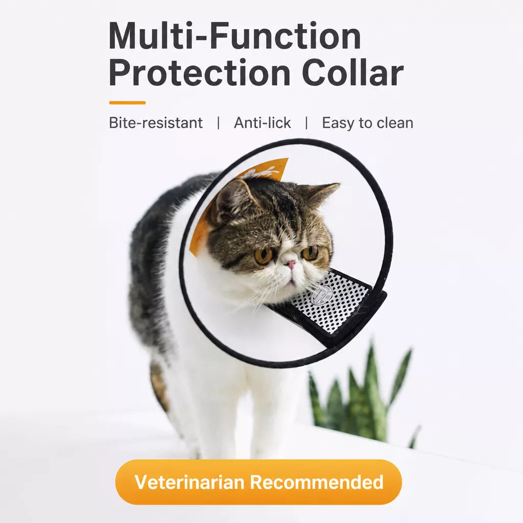 Pet Elizabethan Cone Collar