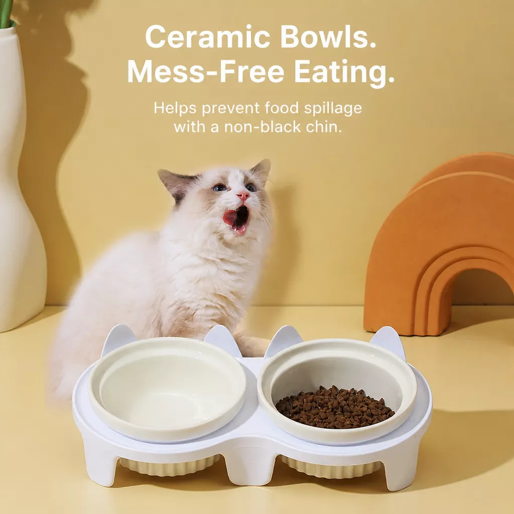 Elevated Pet Bowl Stand with Double Ceramic Bowls