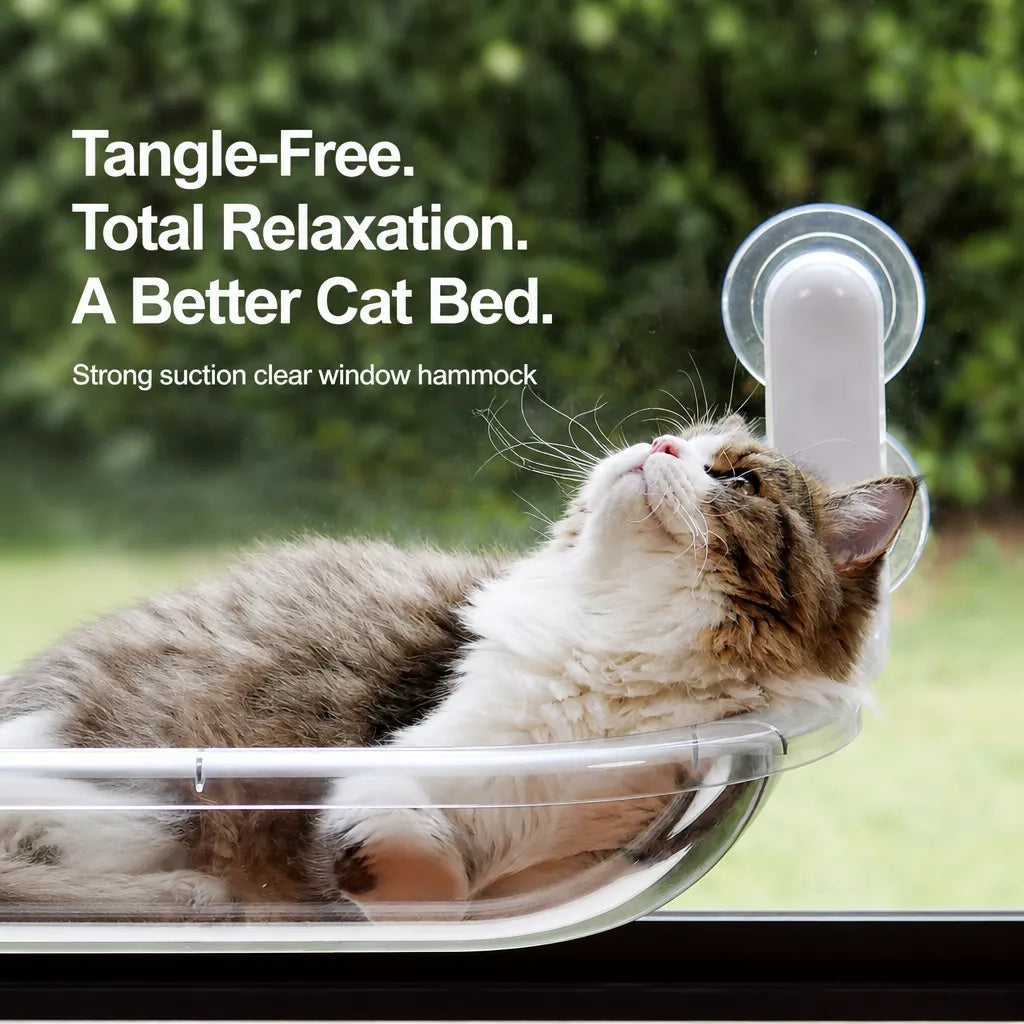 Foldable Transparent Cat Window Capsule Hammock