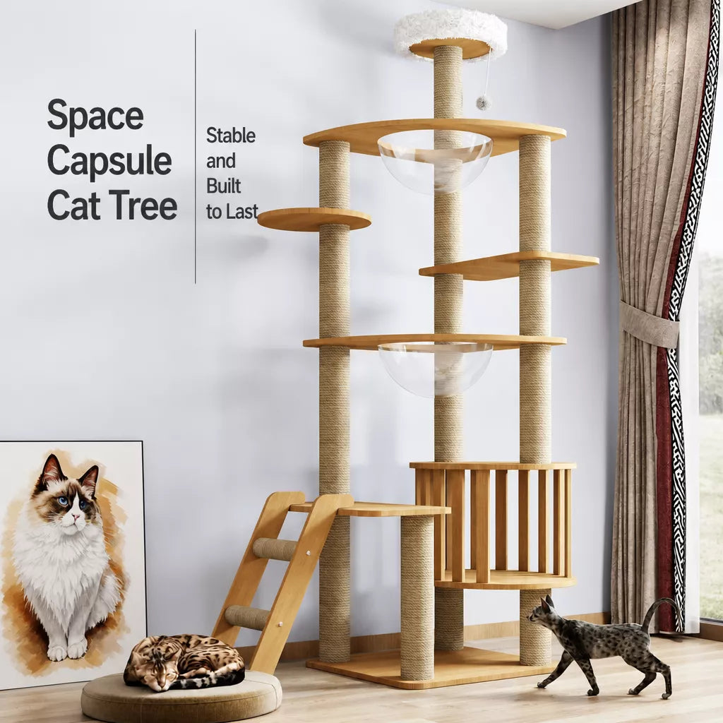 Cat Tree with Enclosed Cat House and Scratching Posts