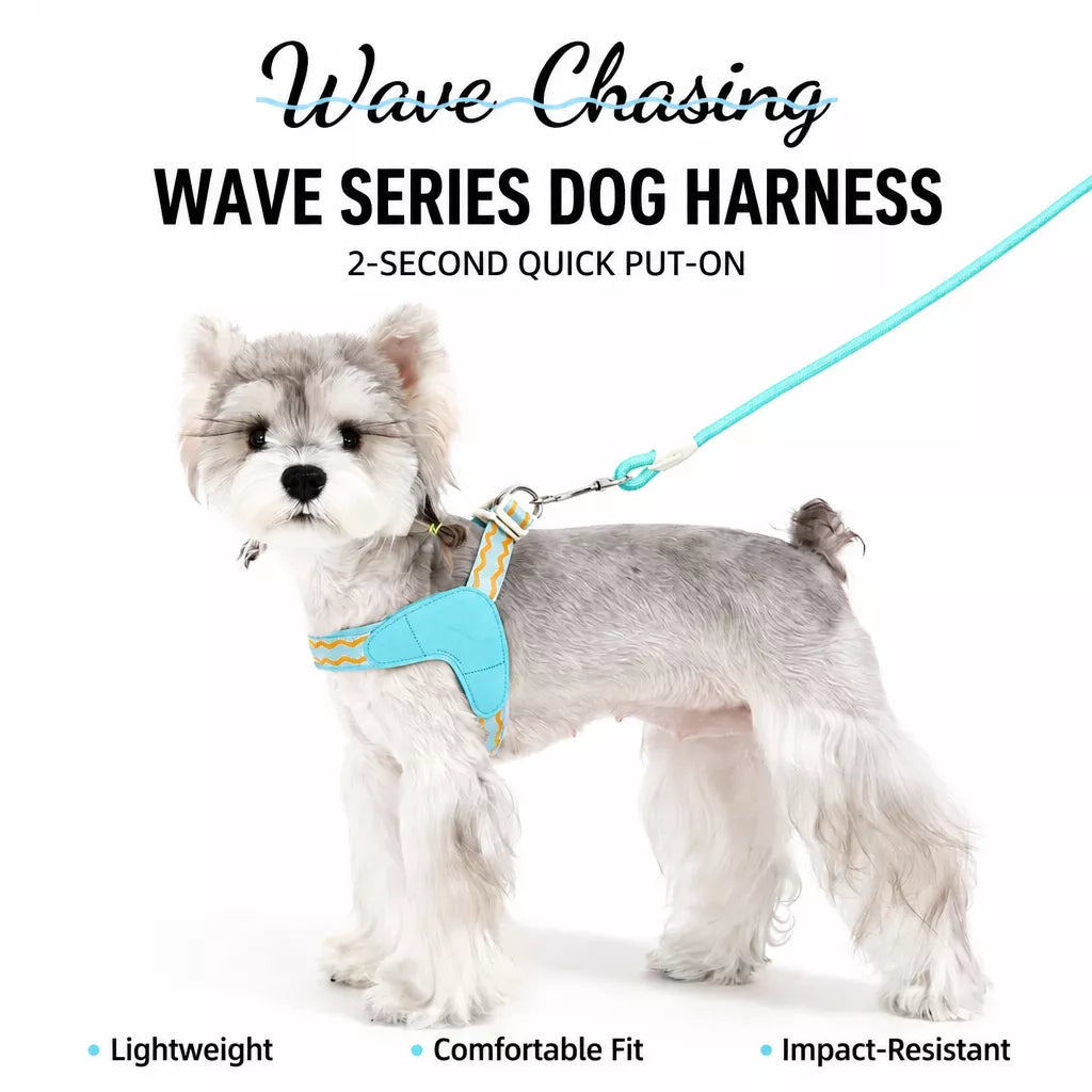 Y-Shaped Dog Harness and Leash for Small to Medium Dogs
