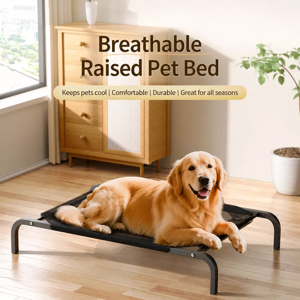 Elevated Mesh Dog Bed with Metal Frame