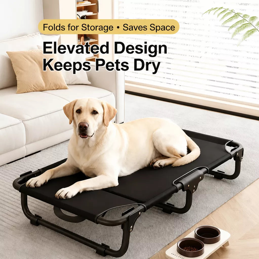 Elevated Foldable Mesh Dog Bed