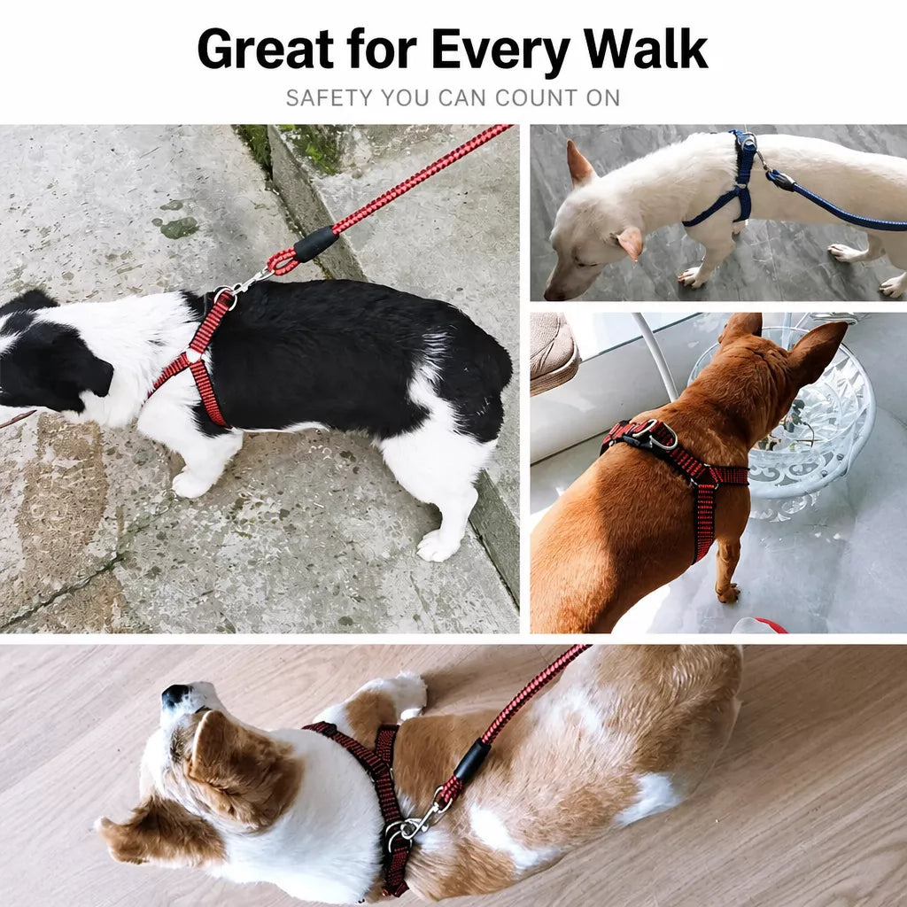 Adjustable Nylon Dog Harness and Leash Set