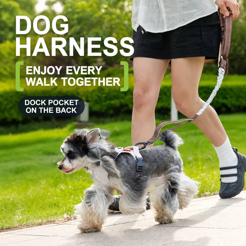 Adjustable Vest-Style Dog Harness with Leash for Walks
