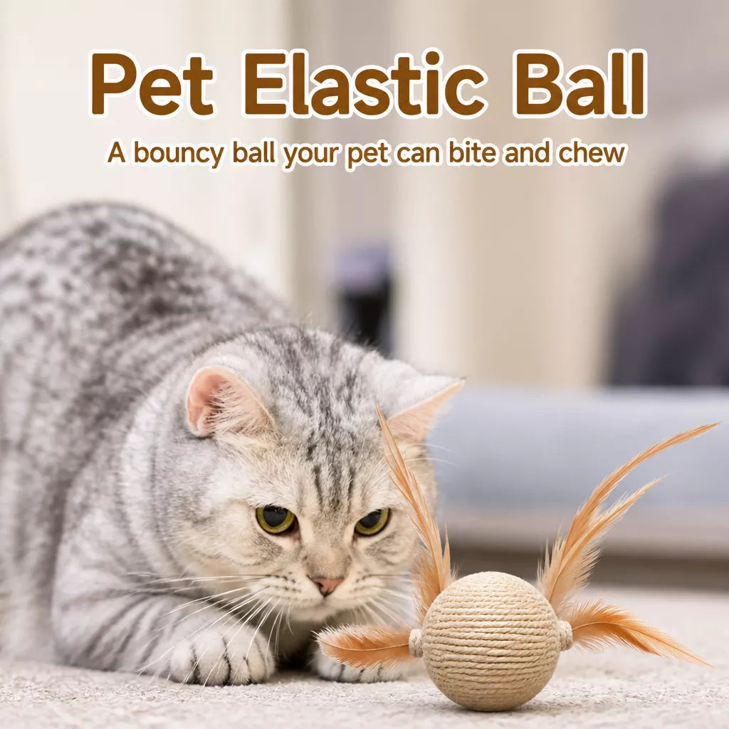 Cat Feather Ball Toy