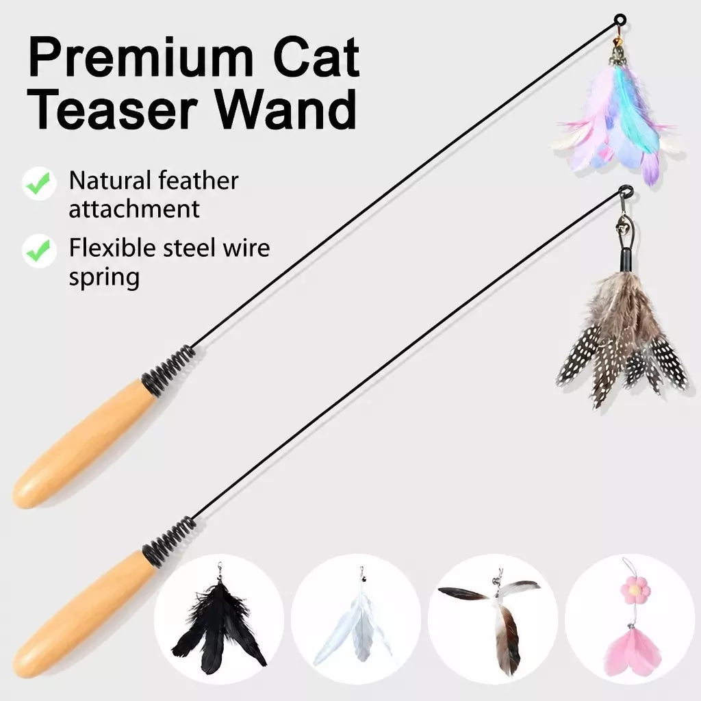 Interactive Cat Teaser Wand with Feather Replacement Heads