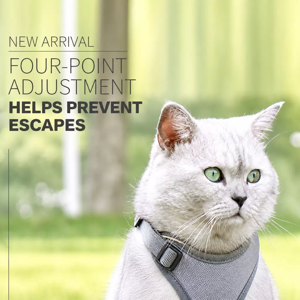 Cat Harness and Leash