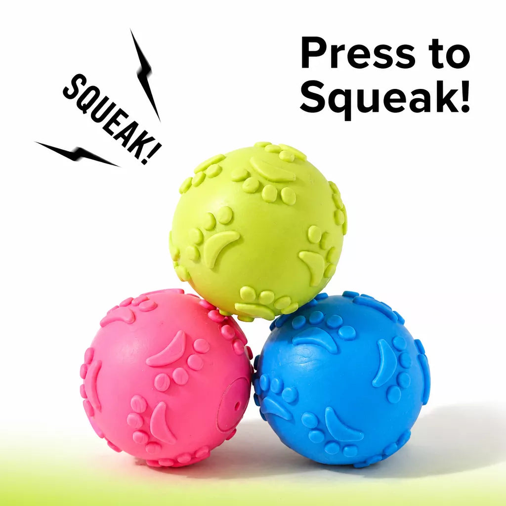 TPR Paw Print Squeaky Ball Dog Toy for Interactive Play