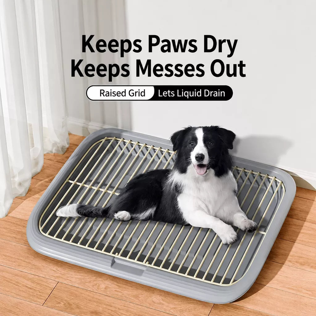 Portable Dog Potty Tray for Small to Large Dogs
