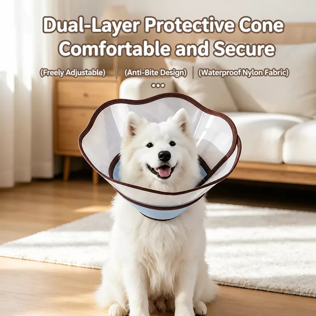 Plastic Recovery Cone for Dogs