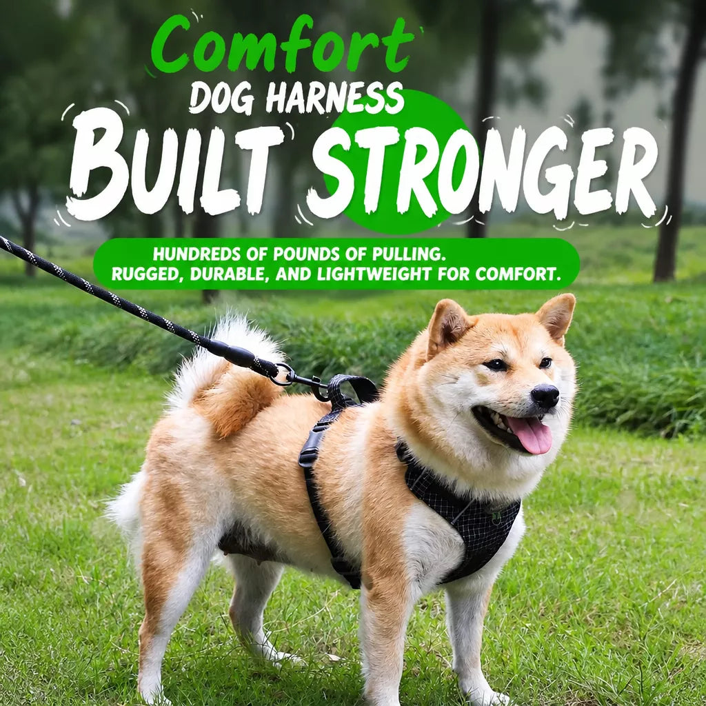 Adjustable Nylon Vest-Style Dog Harness and Leash Set