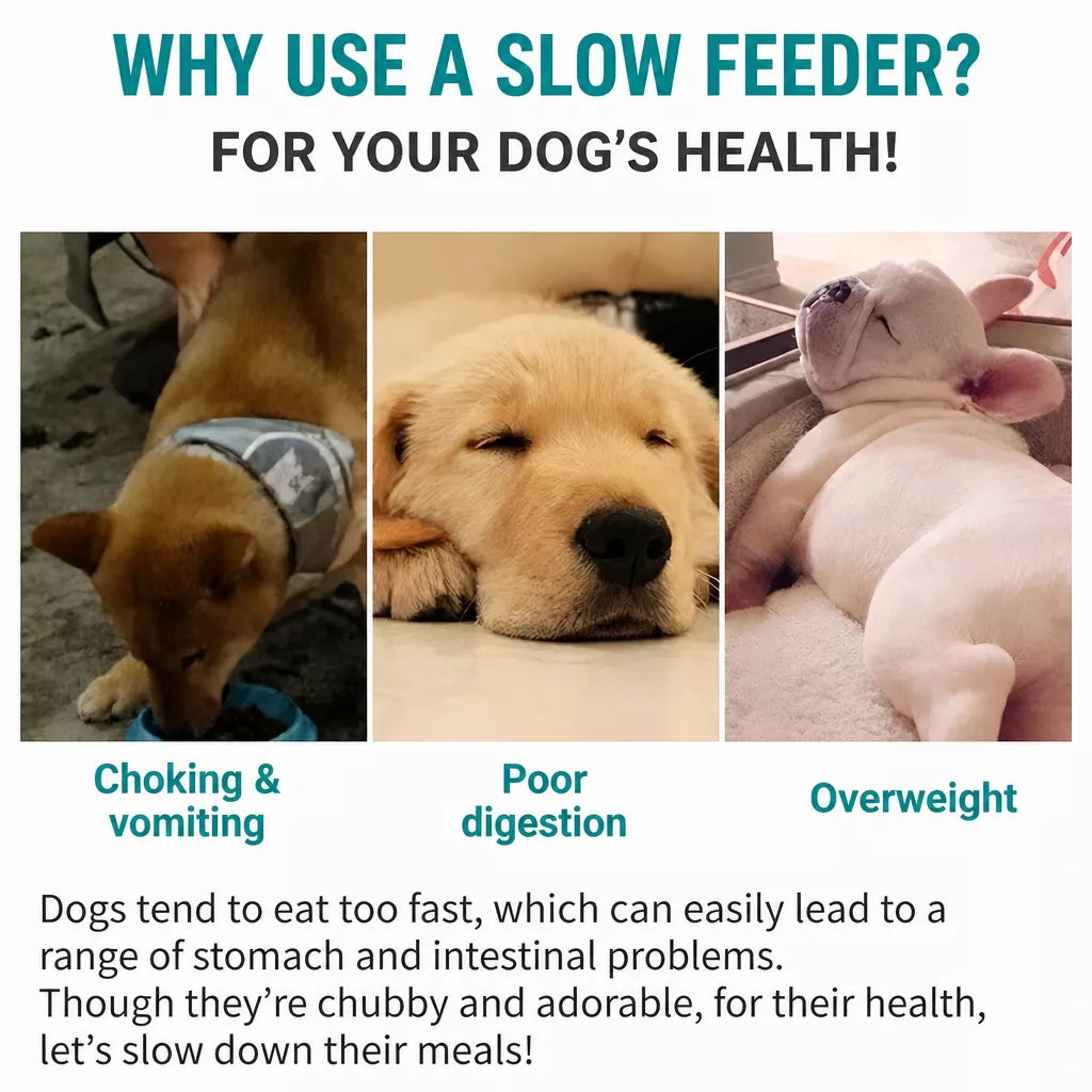 Silicone Slow Feeder Lick Mat for Dogs and Cats
