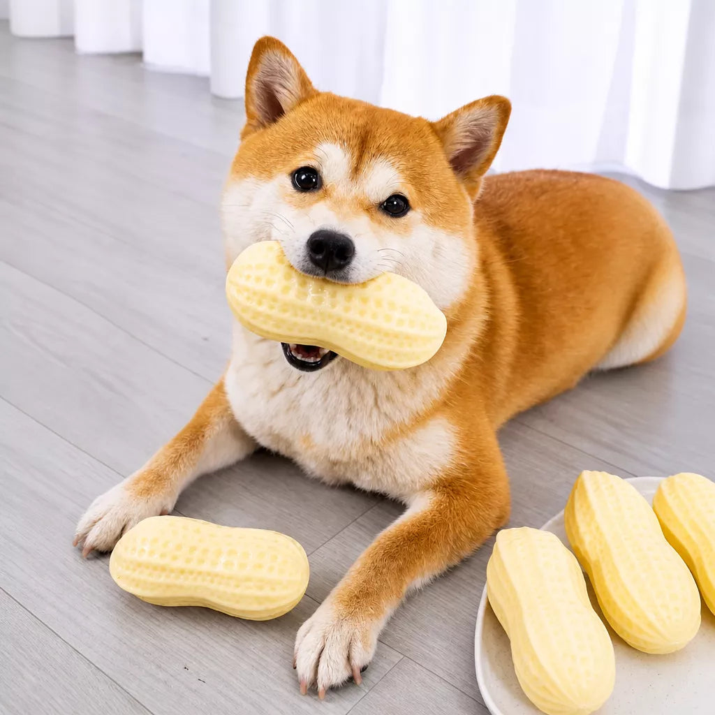 Peanut-Shaped Squeaky Dog Toy