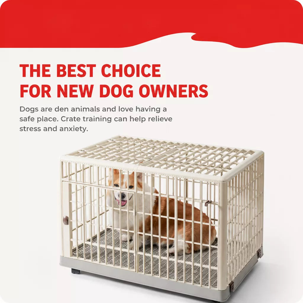 Indoor Pet Crate with Resin Panels and Iron Frame