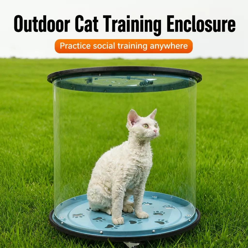 Transparent Rolling Cat Carrier
