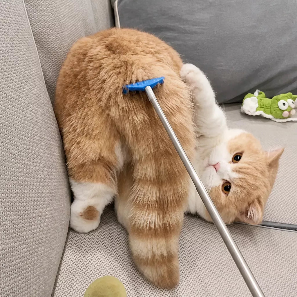 Extendable Pet Scratcher Wand