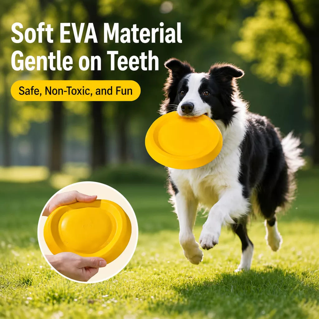 Interactive Dog Toy with Flying Disc, Tug Ring & Floating Ball