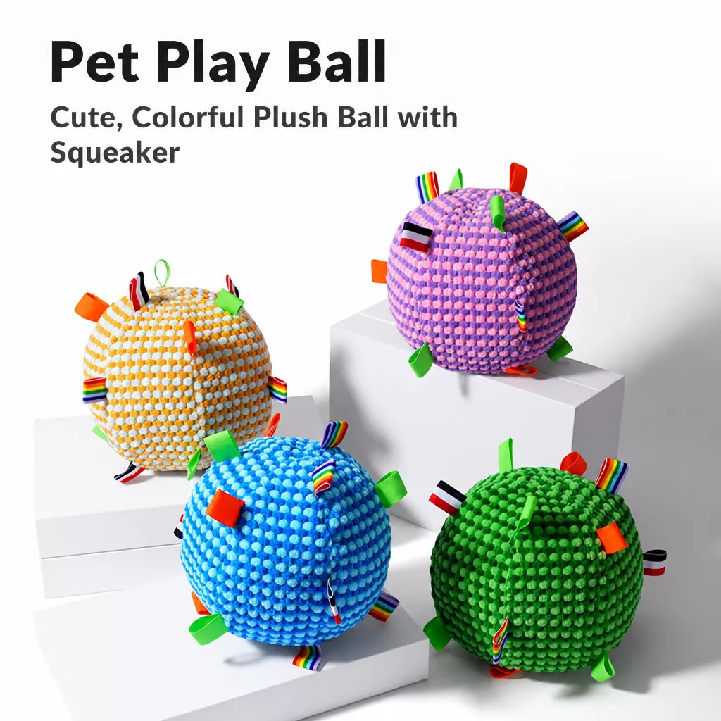 Squeaky Plush Ball Dog Toy