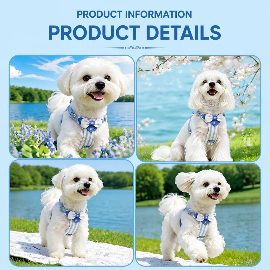 Nylon Harness for Small Dogs