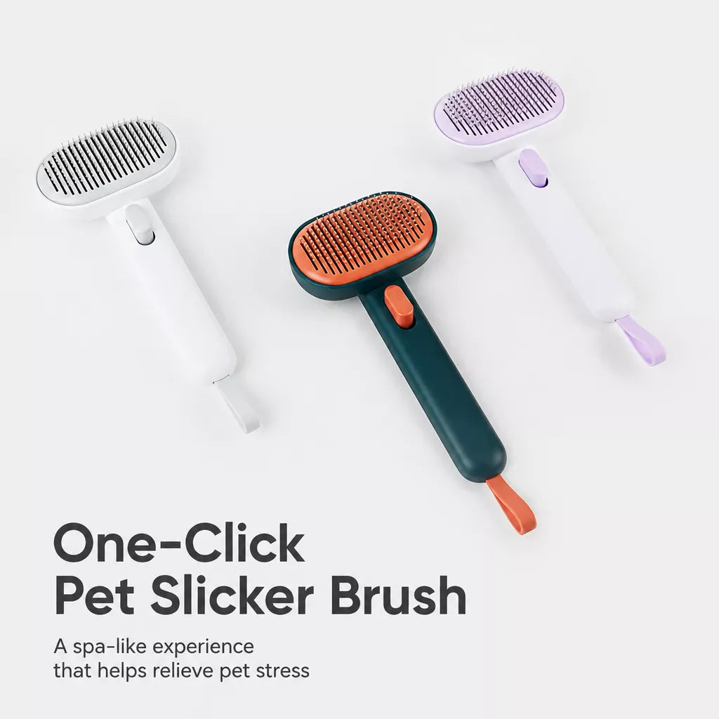 2-in-1 Dog & Cat Grooming Brush with Detangling Comb