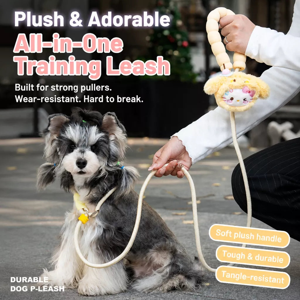 Nylon Slip Lead Dog Leash with Comfort Grip for Training