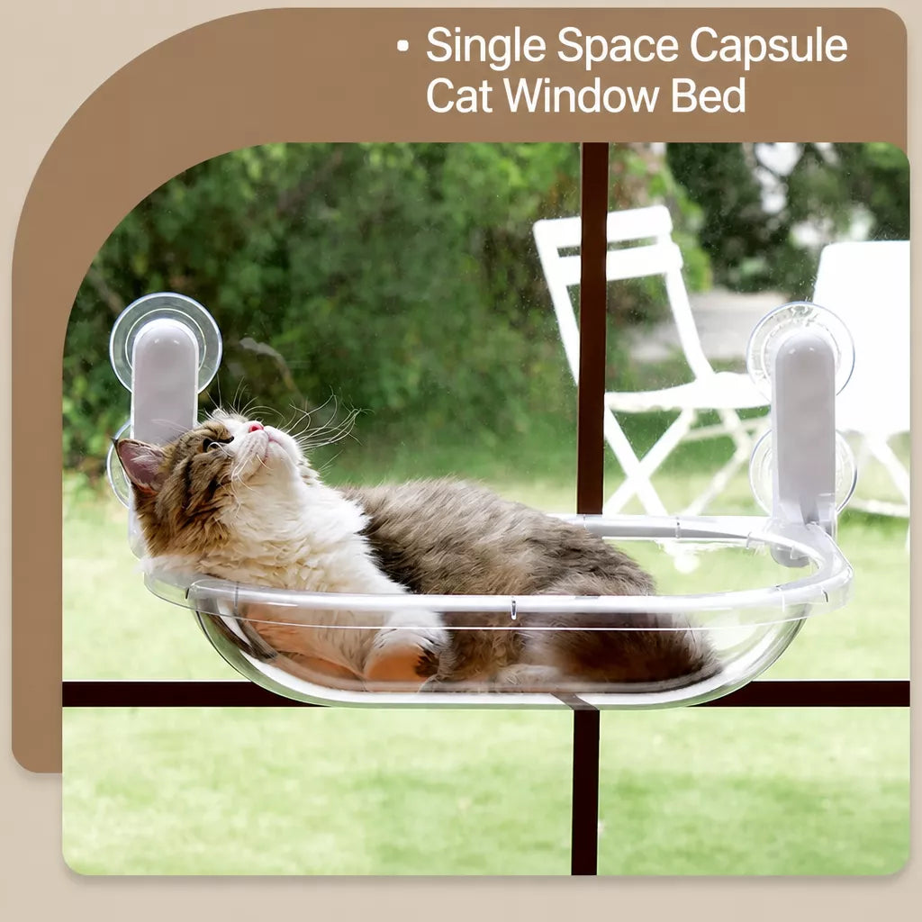 Foldable Transparent Cat Window Capsule Hammock
