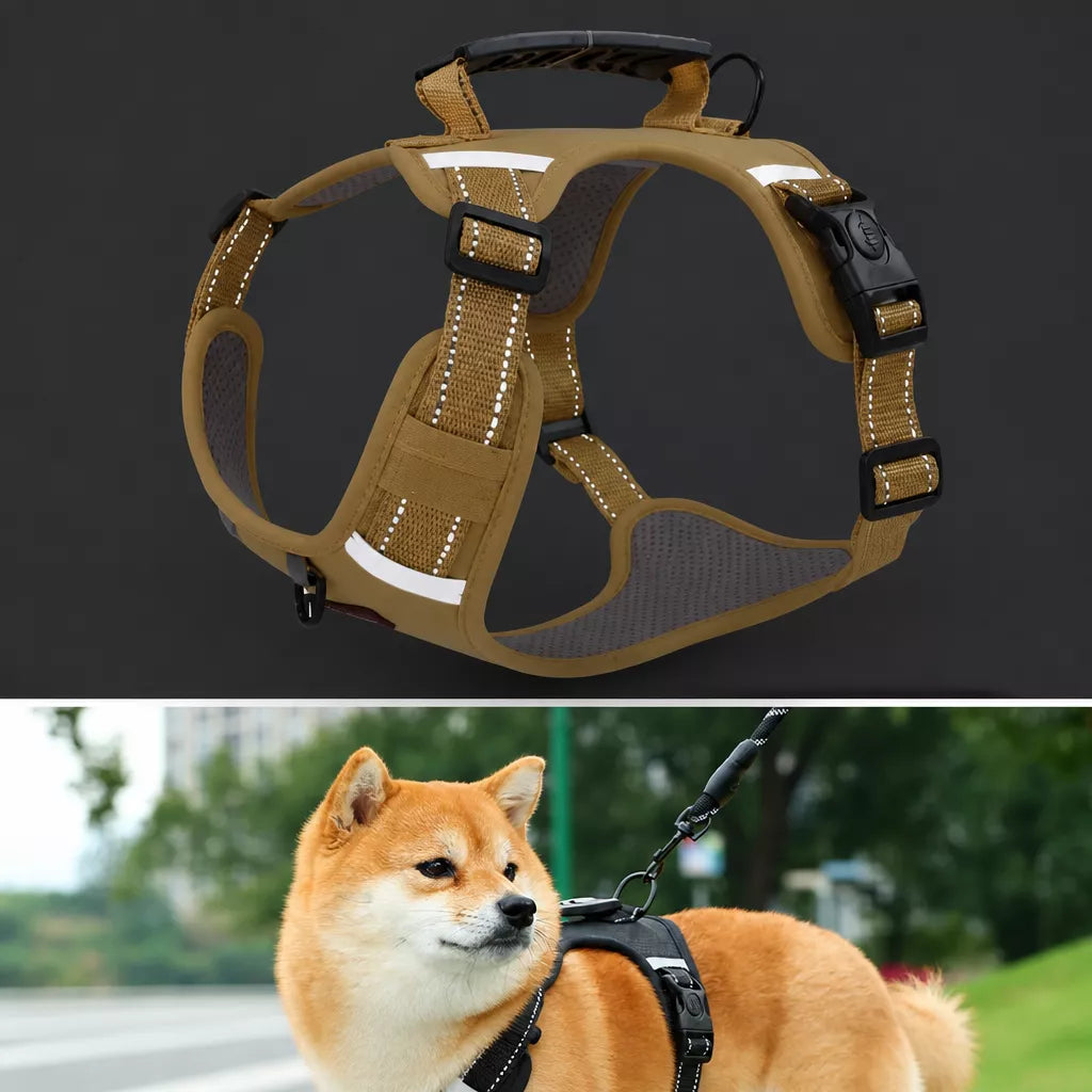 Dog Vest Harness and Leash for Everyday Walks