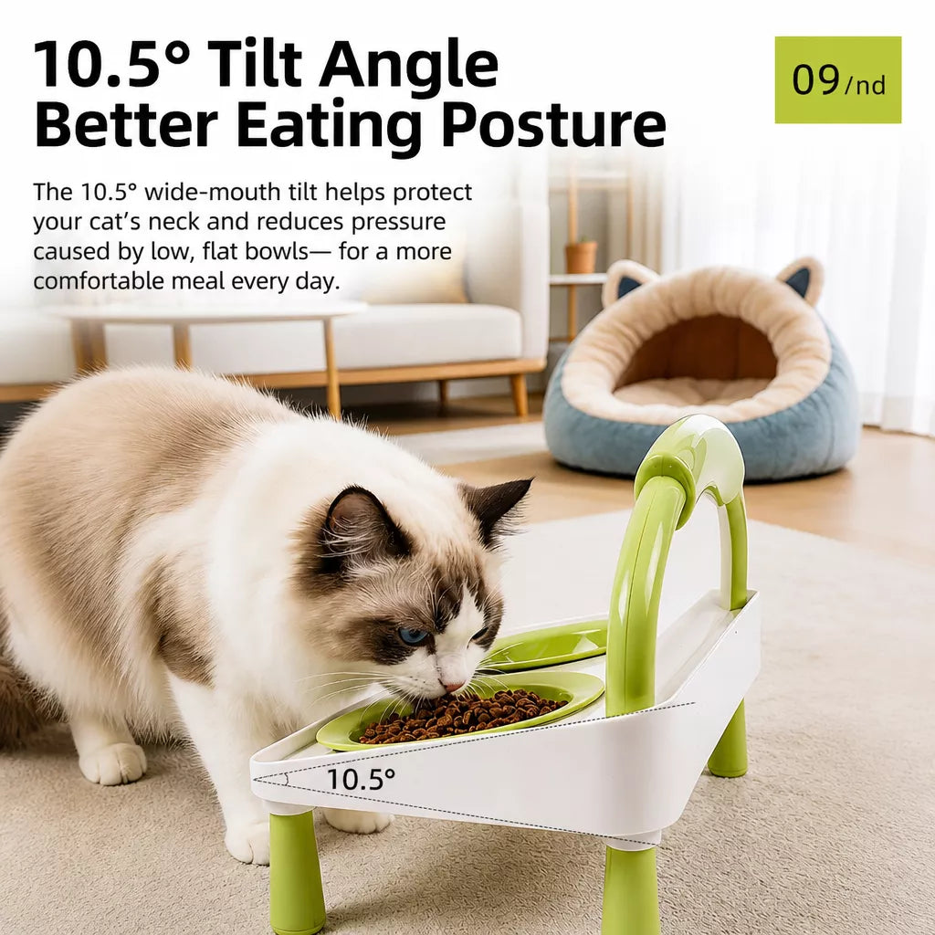 Elevated Ceramic Double Bowl Set for Cats & Dogs