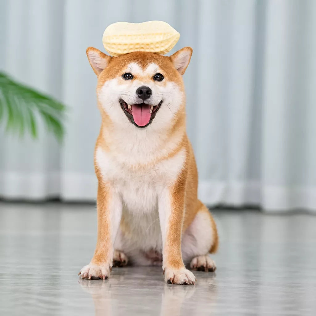 Peanut-Shaped Squeaky Dog Toy