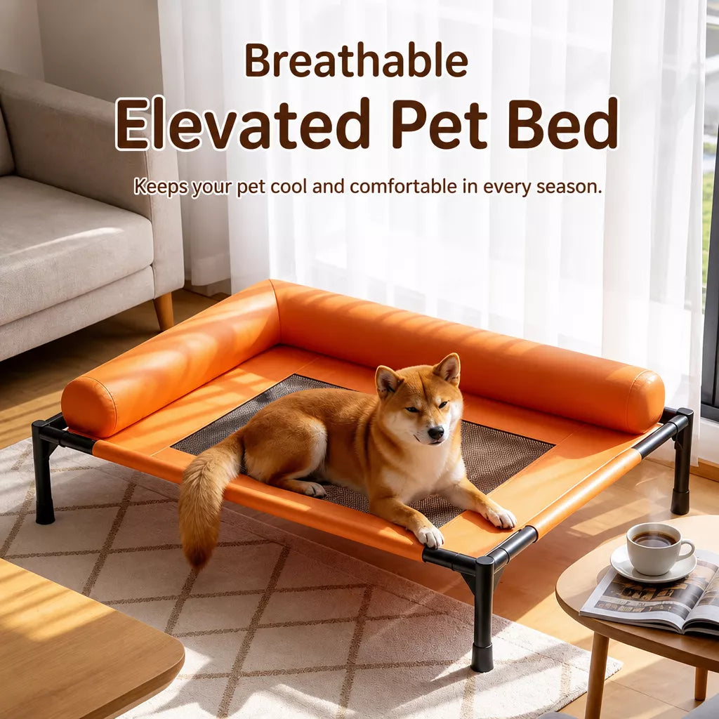 Raised Cot-Style Pet Bed for Small to Medium Dogs and Cats