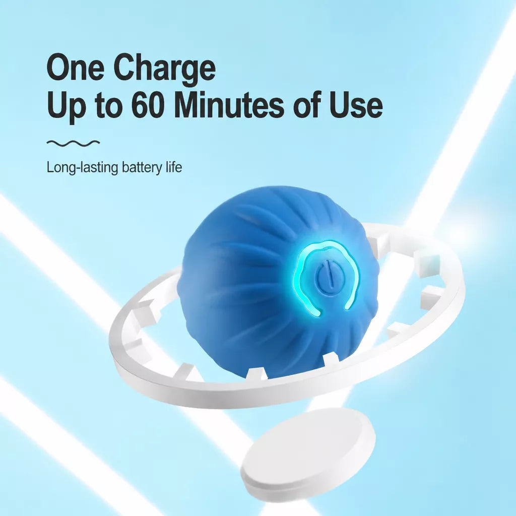 Interactive Electric Squeaky Bouncing Ball Toy for Dogs