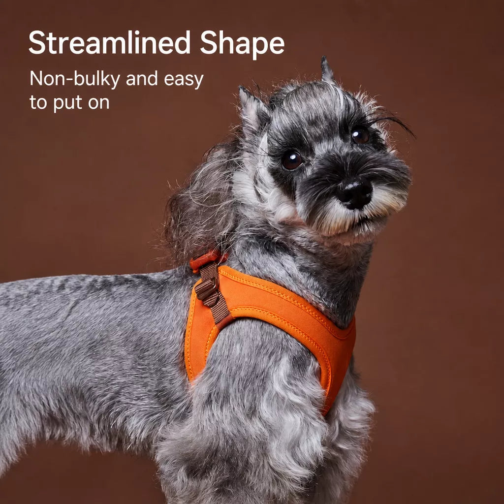 Adjustable Nylon Vest Harness for Small Dogs