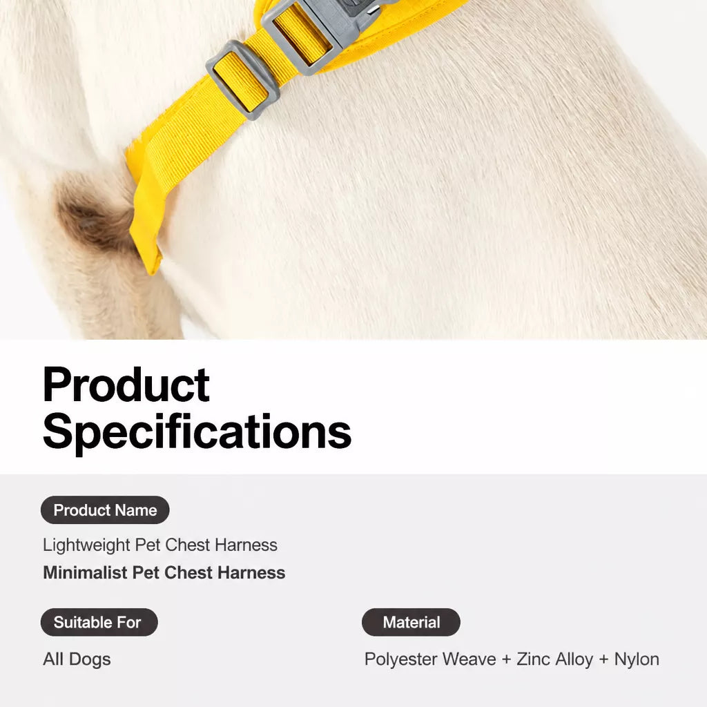 Lightweight Nylon Dog Harness and Leash Set