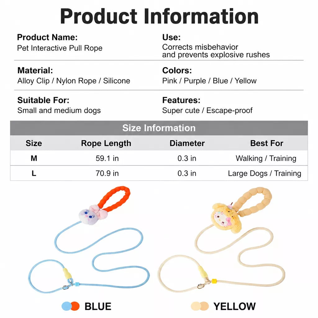 Nylon Slip Lead Dog Leash with Comfort Grip for Training