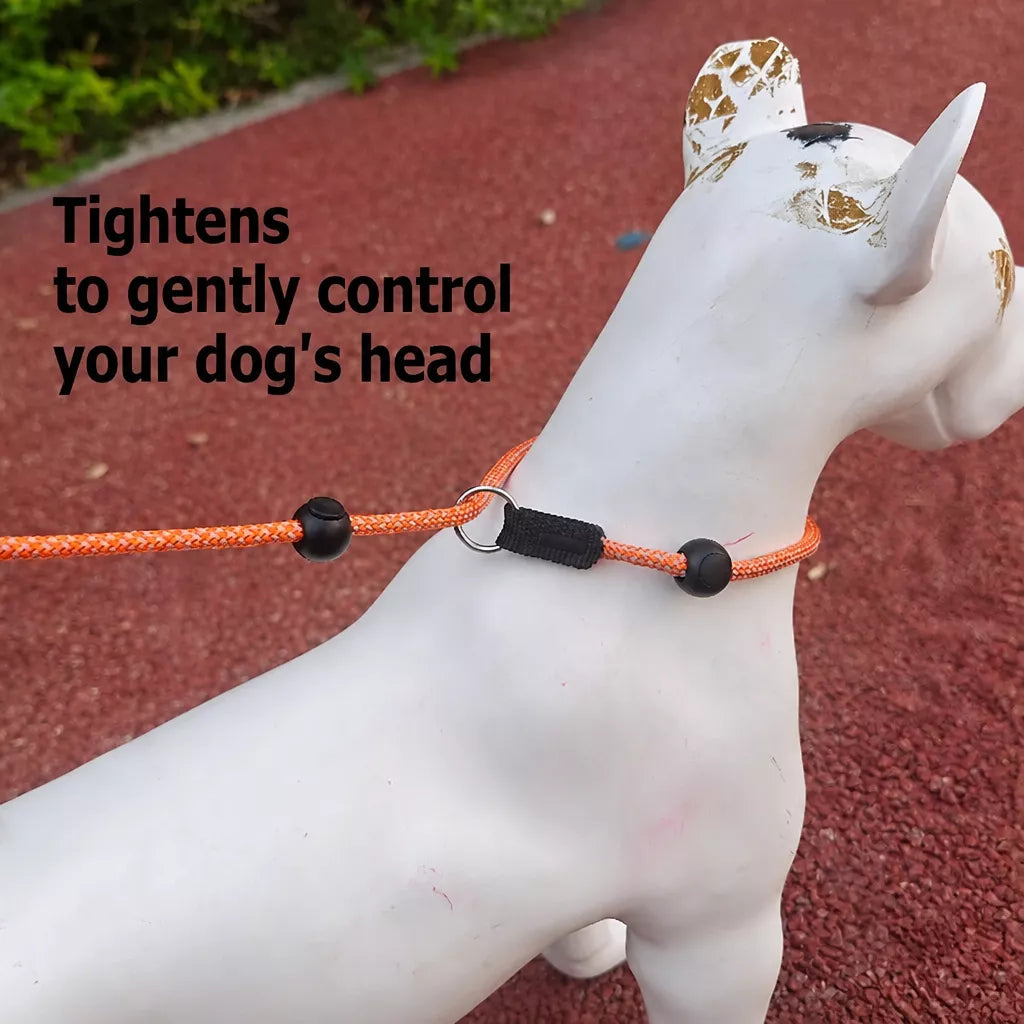 Nylon Rope-Style Dog Training Leash for Small and Medium Dogs