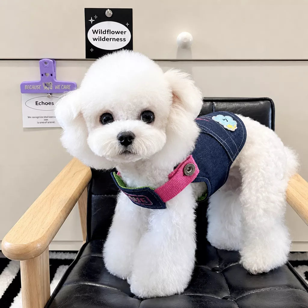 Nylon Pet Harness with Optional Leash